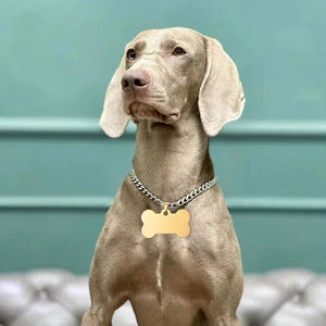 Carverall_20_Pcs_Pet_Blank_Metal_Tags_6 - Carverall